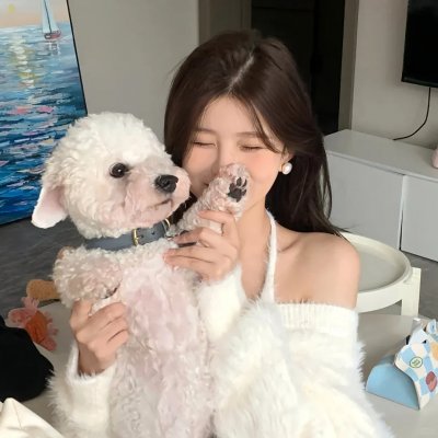 雏菊